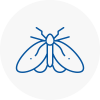 Moth Control Specialists In The Boldons